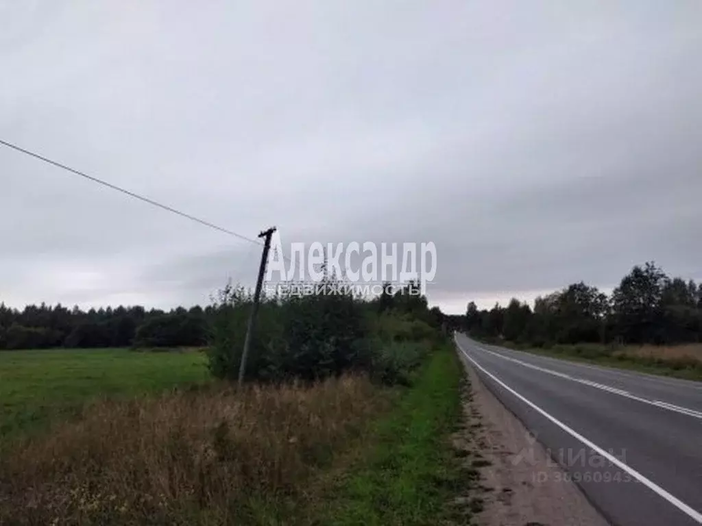 Участок в Ленинградская область, Приозерский район, Ларионовское ... - Фото 0