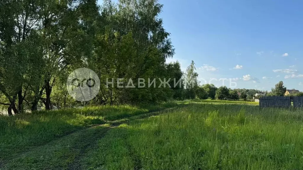 Участок в Рязанская область, Рыбновский район, Ходынинское с/пос, с. ... - Фото 2