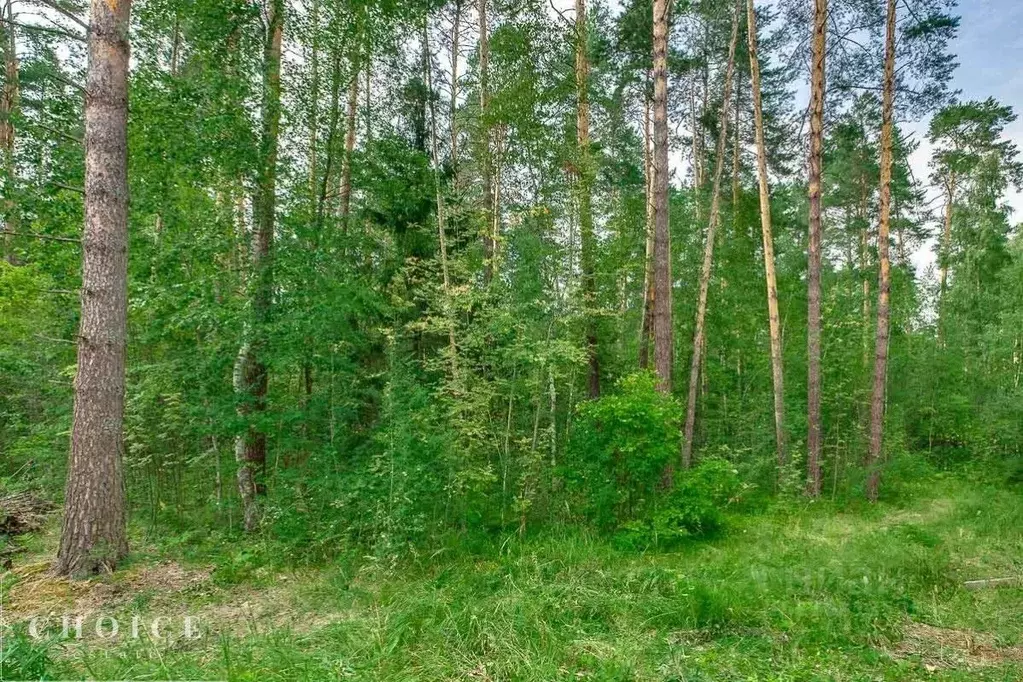 Участок в Московская область, Одинцовский городской округ, пос. ... - Фото 0