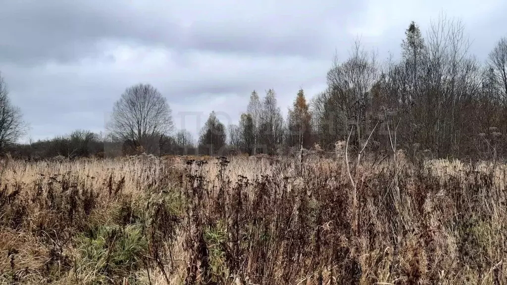 Участок в Новгородская область, Новгородский район, Ермолинское с/пос, ... - Фото 1