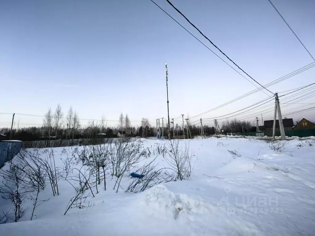 Участок в Московская область, Раменский муниципальный округ, 30390 ... - Фото 2