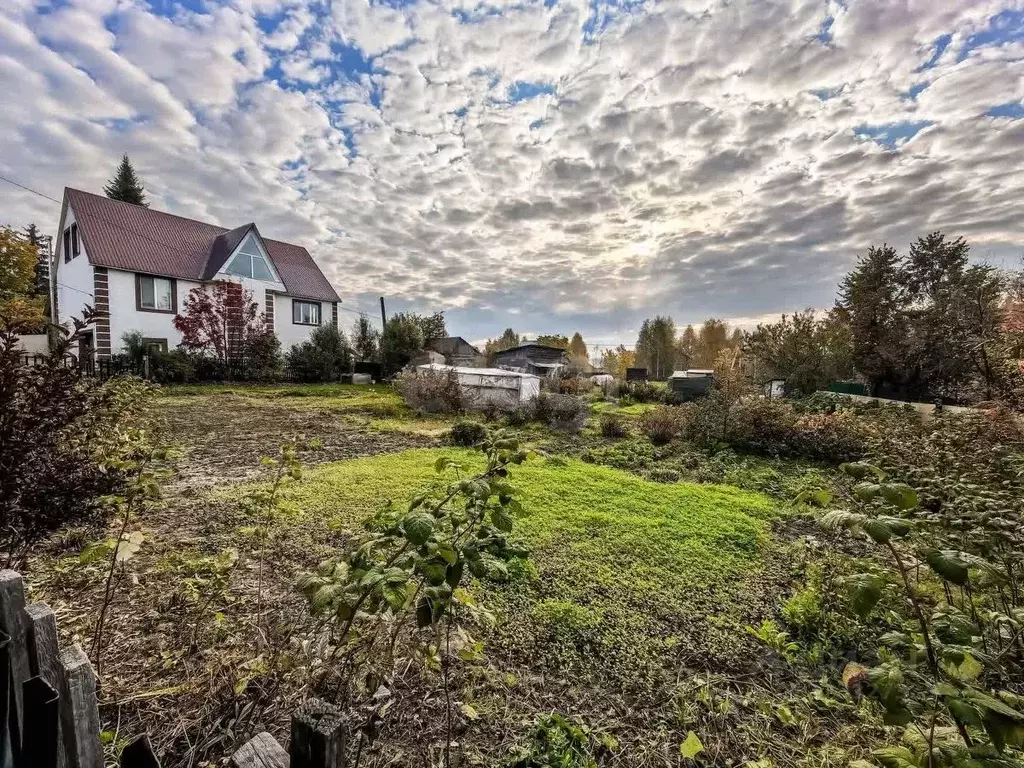 Участок в Новосибирская область, Новосибирск Золотая Горка СНТ, ... - Фото 1