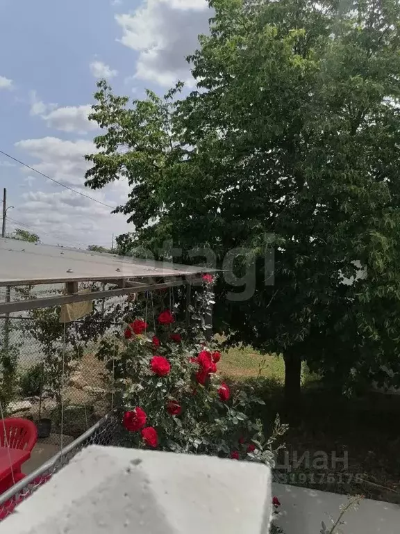 Участок в Крым, Сакский район, с. Молочное ул. Гагарина, 31 (7.8 сот.) - Фото 0