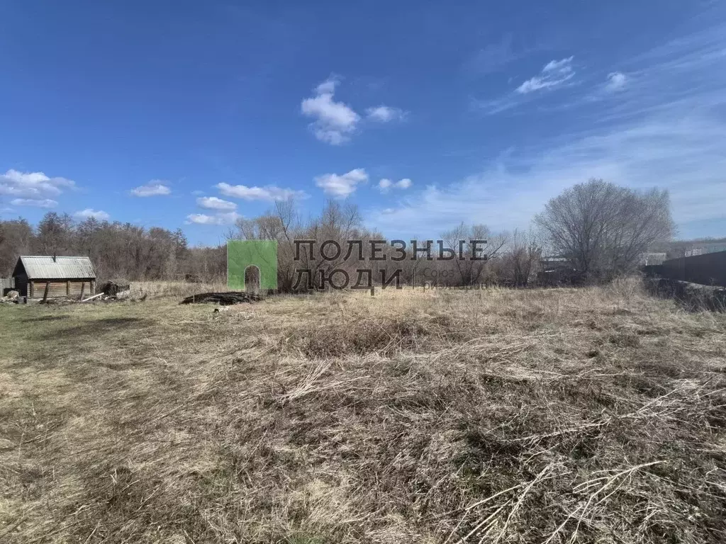 Участок в Самарская область, Сызранский район, Новая Рачейка с/пос, с. ... - Фото 2