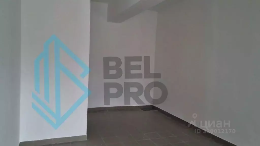 Торговая площадь в Московская область, Воскресенск Новлянский мкр, ул. ... - Фото 2