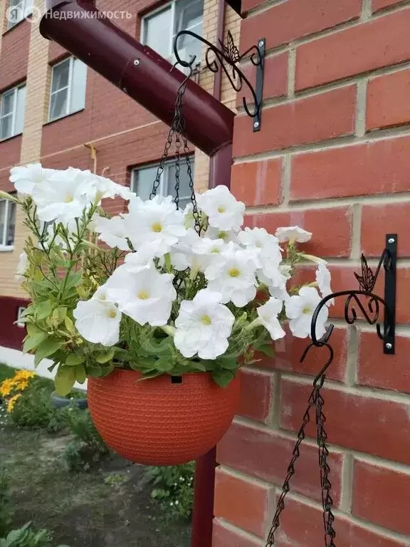 3-комнатная квартира: Тугулым, Полевая улица, 31к3 (58 м) - Фото 0