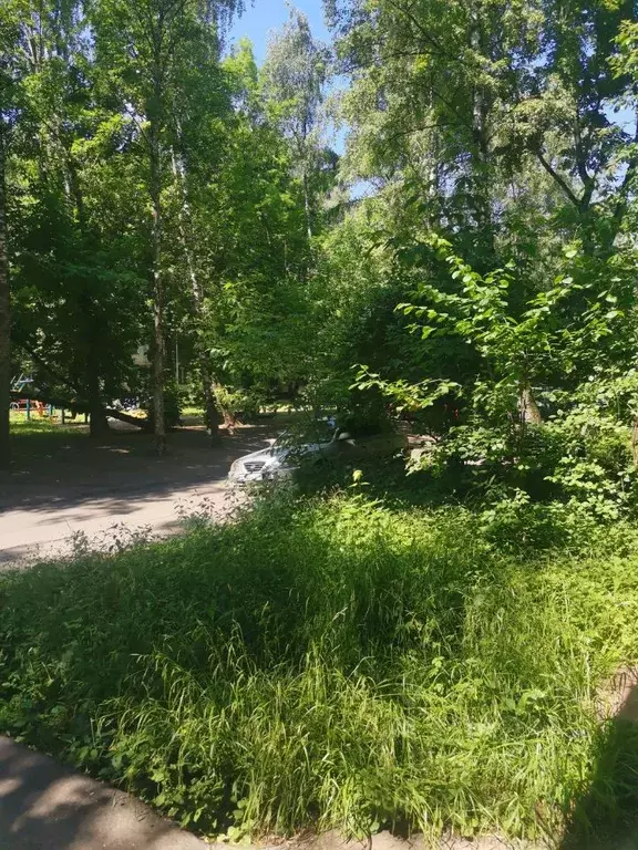 Комната Москва Туристская ул., 19К2 - Фото 1