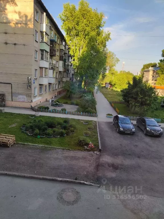Комната Новосибирская область, Новосибирск ул. Петухова, 53/2 (15.0 м) - Фото 1