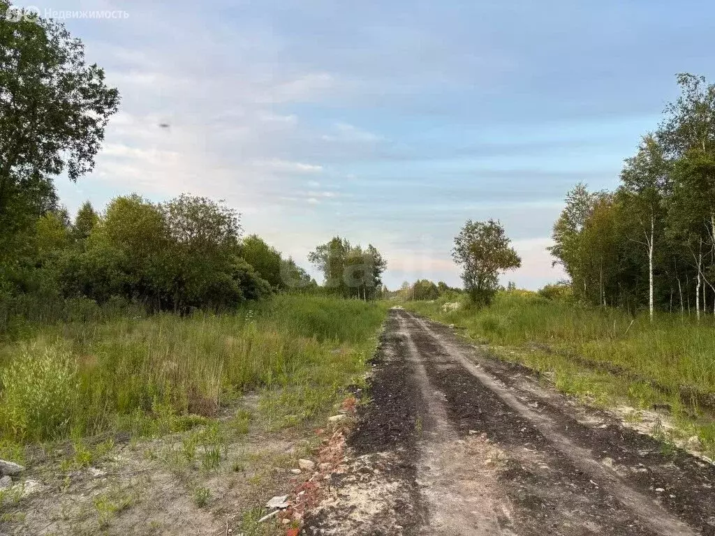 Участок в Тюневское сельское поселение, ДНТ Приозерное (6.34 м) - Фото 0
