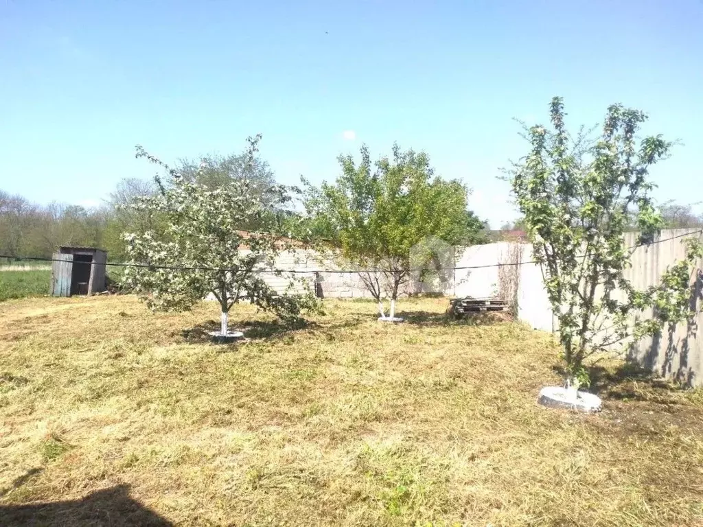 Участок в Краснодарский край, Кореновский район, Дядьковская ст-ца ул. ... - Фото 2