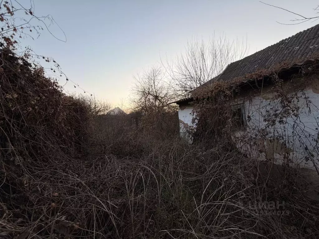 Участок в Кабардино-Балкария, Чегемский район, с. Каменка ул. Имени ... - Фото 2