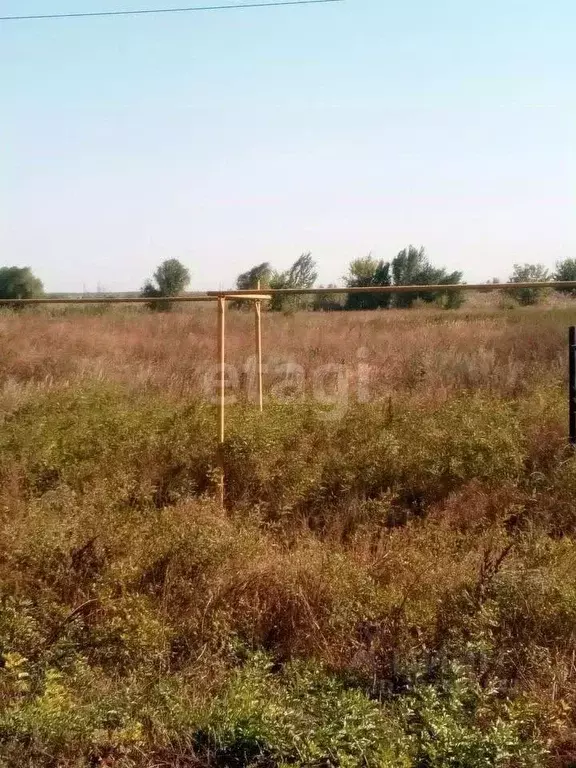 Участок в Ростовская область, Аксайский район, Старочеркасское с/пос, ... - Фото 1