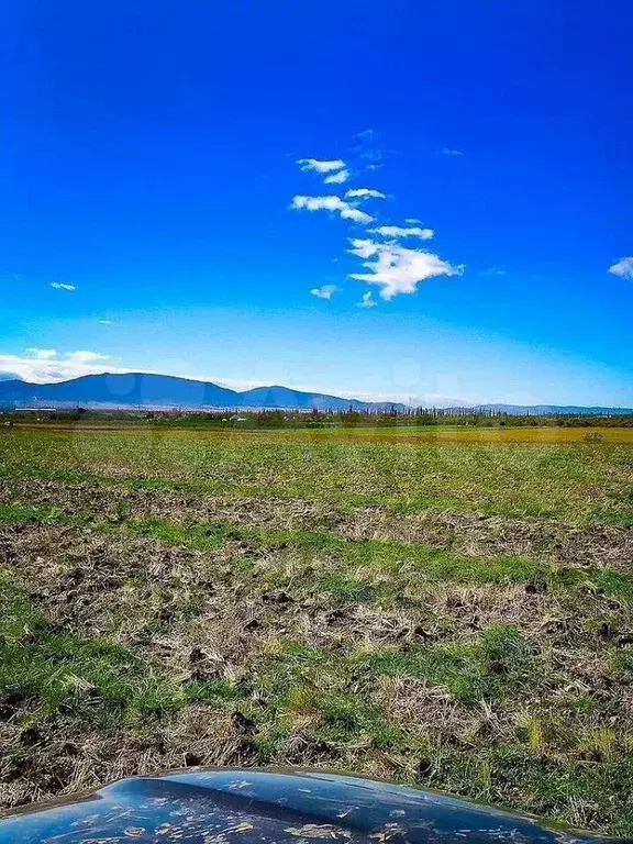 Участок 1,5 га (СНТ, ДНП) - Фото 1