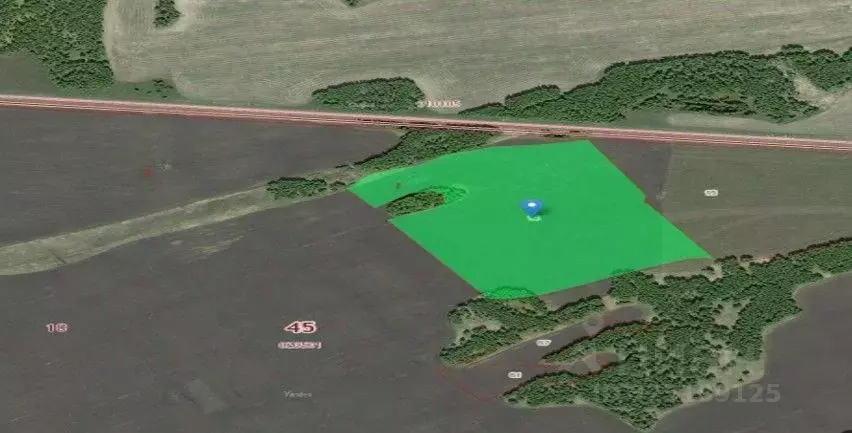 Участок в Курганская область, Лебяжьевский муниципальный округ, с. ... - Фото 1