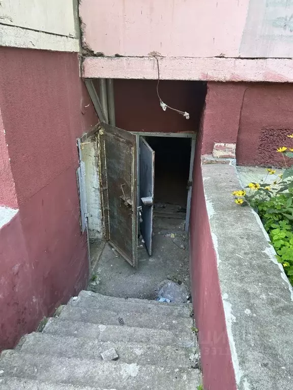 Помещение свободного назначения в Челябинская область, Челябинск ул. ... - Фото 1