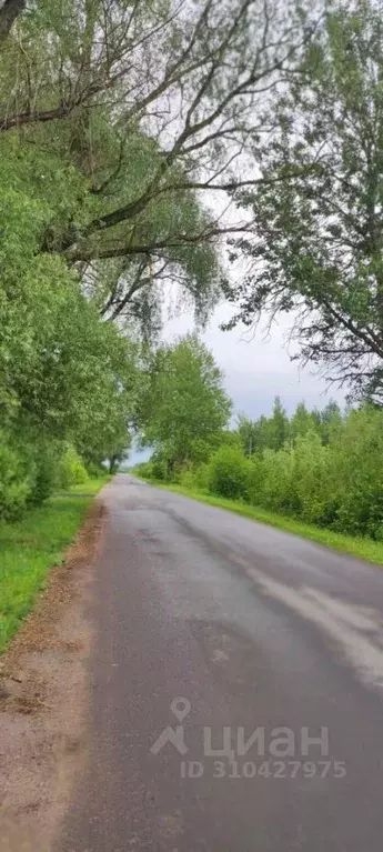 Участок в Новгородская область, Новгородский район, Савинское с/пос, ... - Фото 1