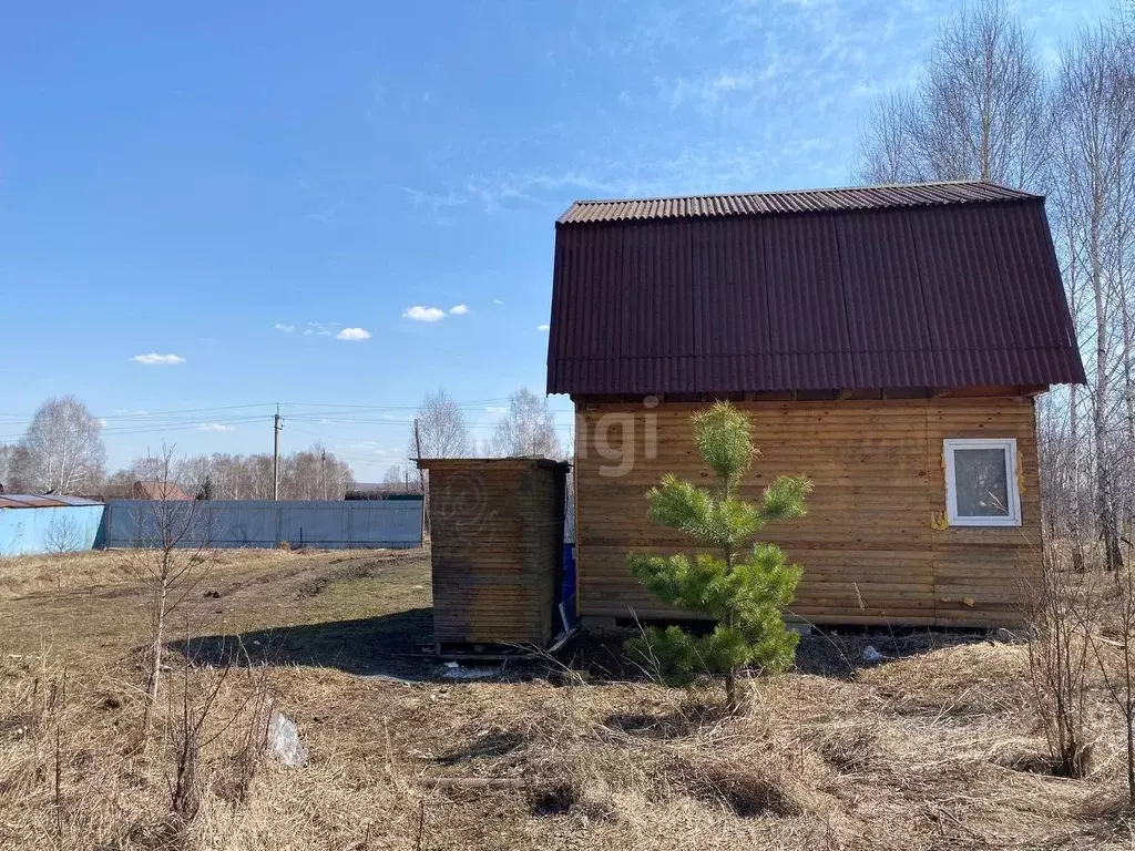 Купить Дачу В Мошковском Районе Новосибирской