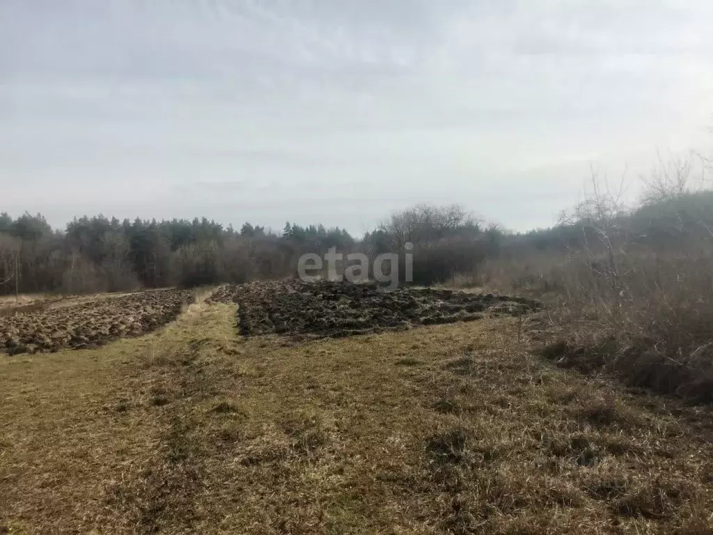 Участок в Липецкая область, Задонский район, Каменский сельсовет, с. ... - Фото 1
