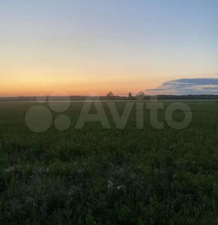 Участок 1,42 га (СНТ, ДНП) - Фото 1