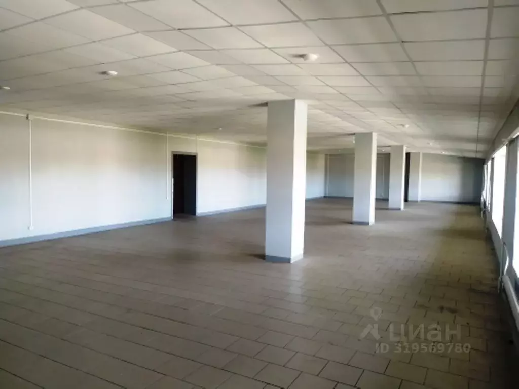 Помещение свободного назначения в Новосибирская область, Новосибирск ... - Фото 0