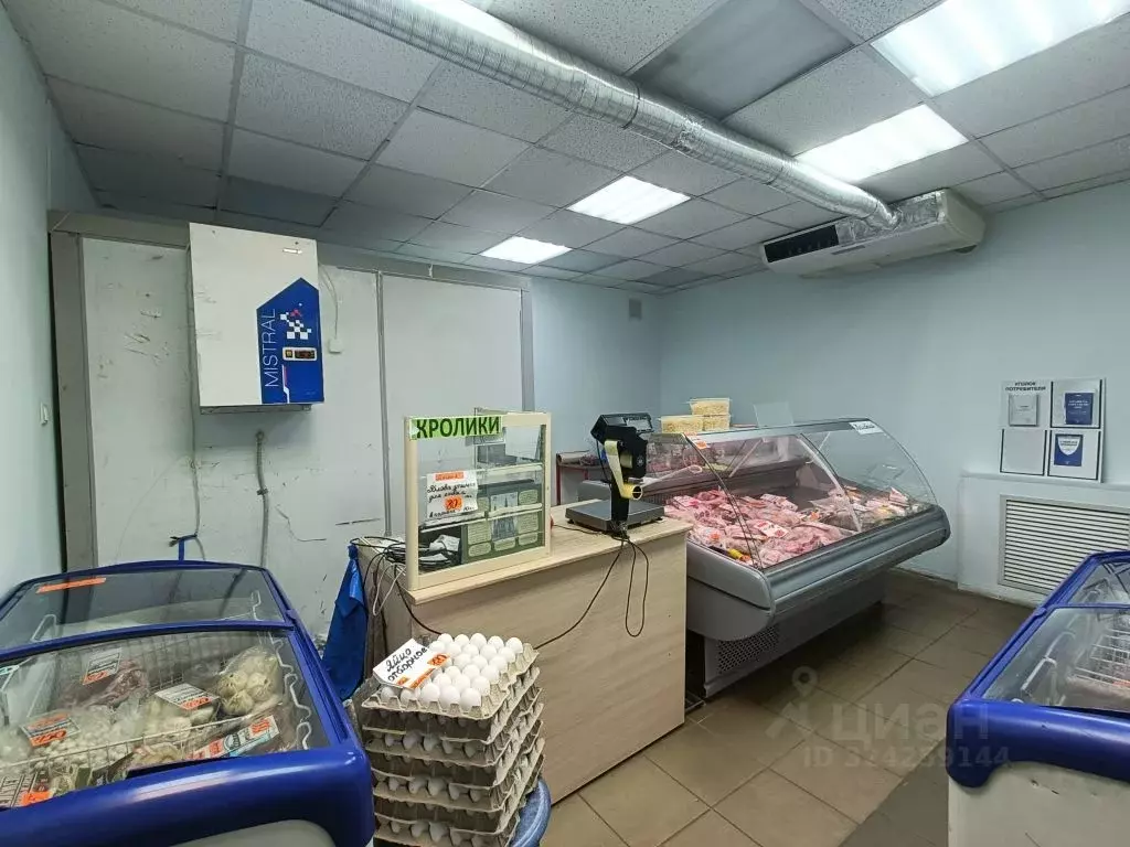 Торговая площадь в Татарстан, Казань Революционная ул., 43/19 (52 м) - Фото 2