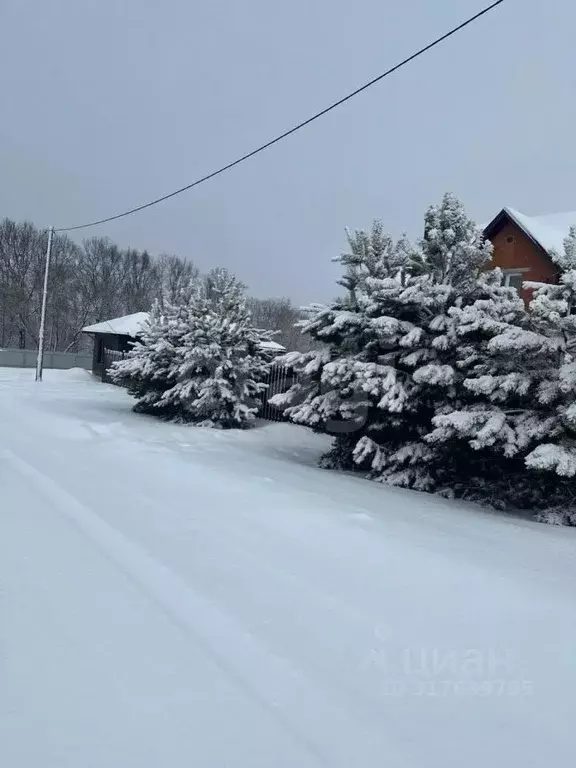 Участок в Мордовия, Саранск городской округ, Николаевка рп ул. ... - Фото 1