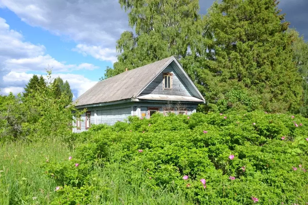 Дом в Тверская область, Осташковский городской округ, пос. Сиговка, д. ... - Фото 0