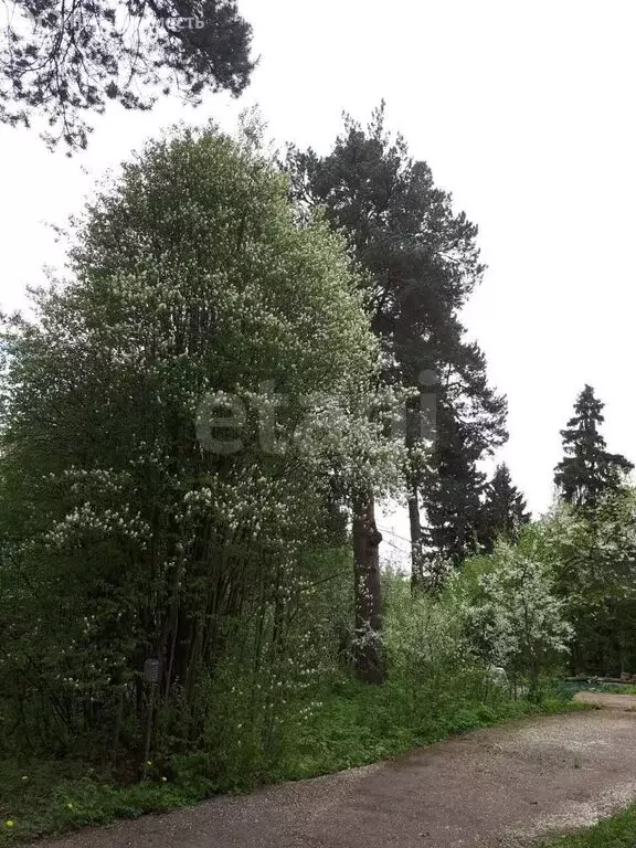 Участок в деревня Рузино, КП Рузинская гора (100 м) - Фото 0