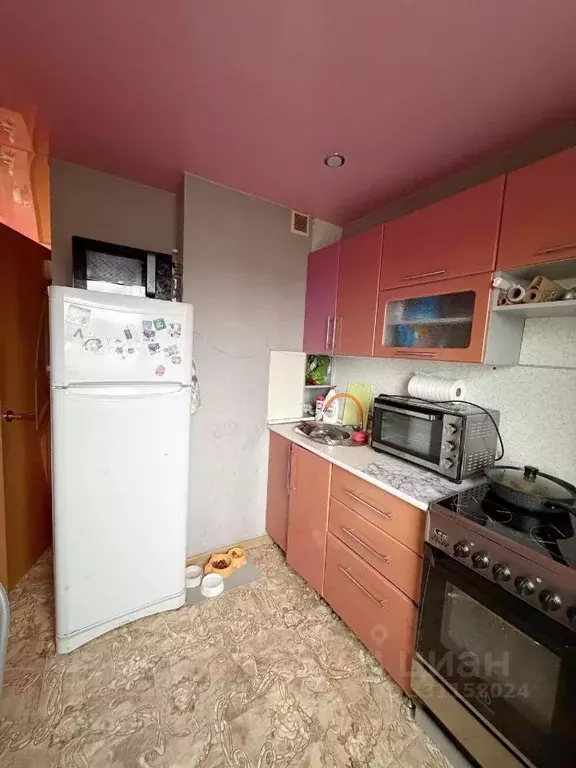 1-к кв. Вологодская область, Шексна рп, Шексна Северная мкр ул. ... - Фото 2