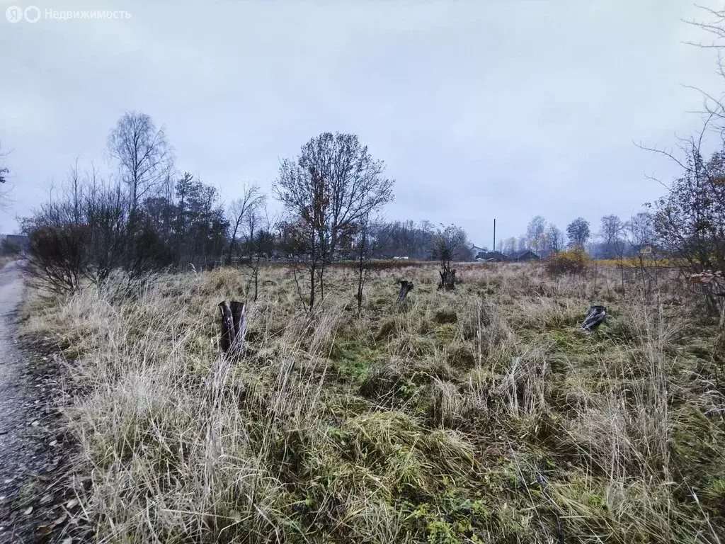 Участок в Псковская область, Печорский муниципальный округ, деревня ... - Фото 2
