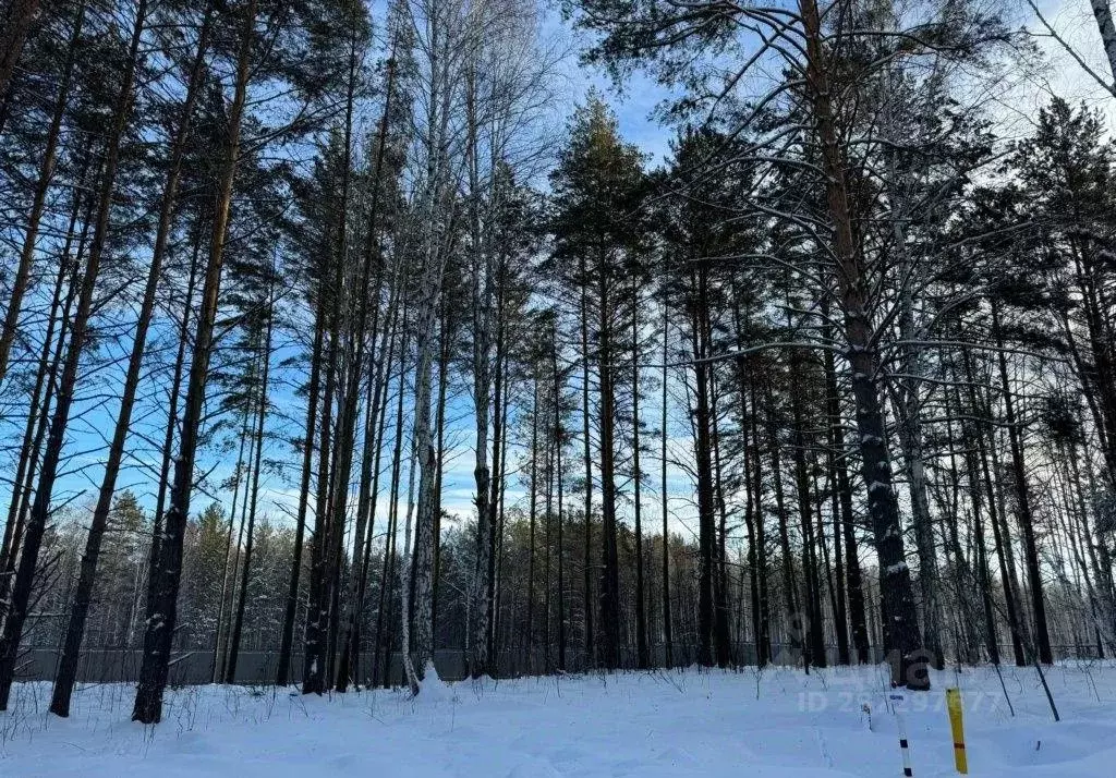 Участок в Свердловская область, Сысертский городской округ, пос. ... - Фото 0