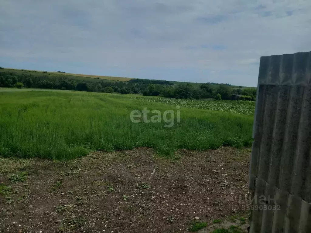 Участок в Курская область, Мантуровский район, Останинский сельсовет, ... - Фото 0