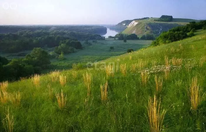 Участок в Воронеж, микрорайон Таврово, Парусная улица (229 м) - Фото 0