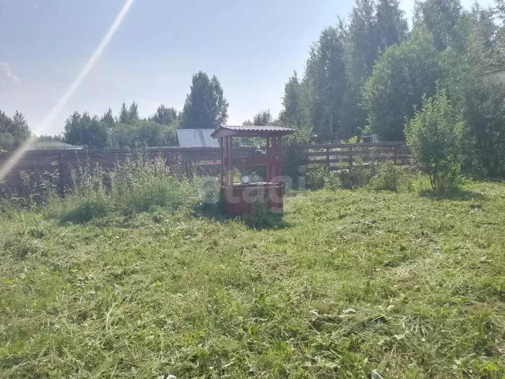 Участок в Вологодская область, Вологда Медик садоводческое ... - Фото 1