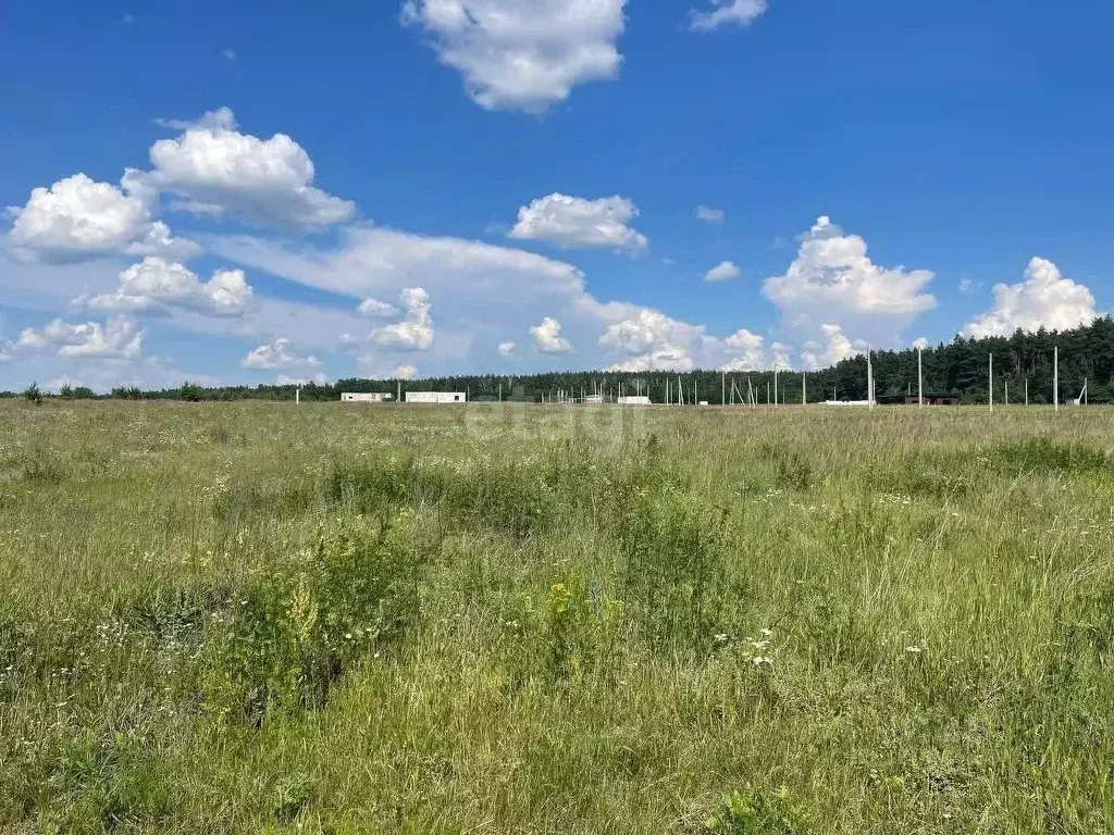 Участок в Белгородская область, Старооскольский городской округ, с. ... - Фото 0