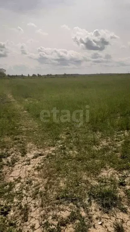 Участок в Ленинградская область, Тосненский район, Трубникоборское ... - Фото 0