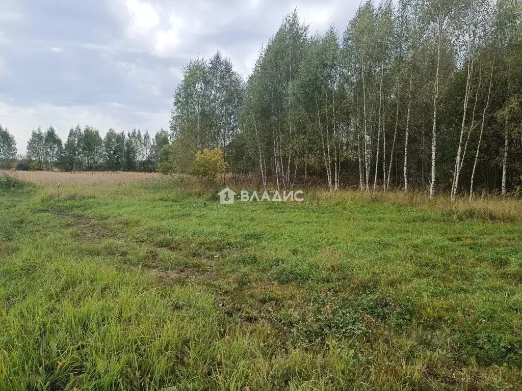 Участок в Московская область, Егорьевск муниципальный округ, пос. ... - Фото 2