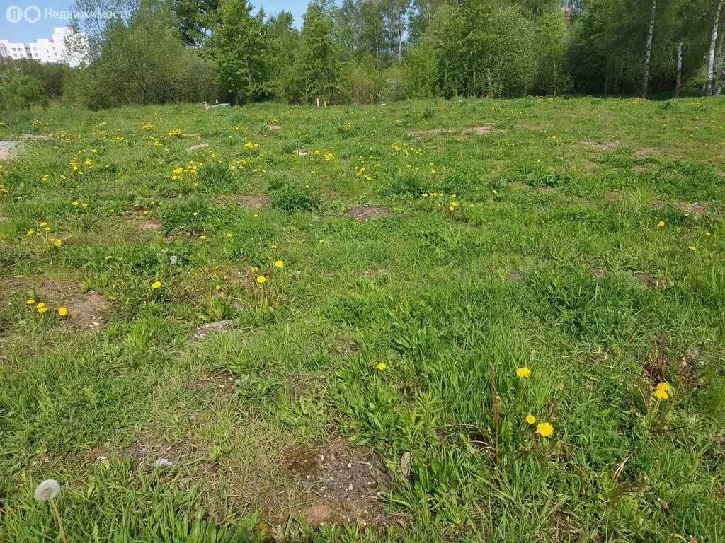 Участок в Ярославль, 2-я Шоссейная улица, 15 (5 м) - Фото 1