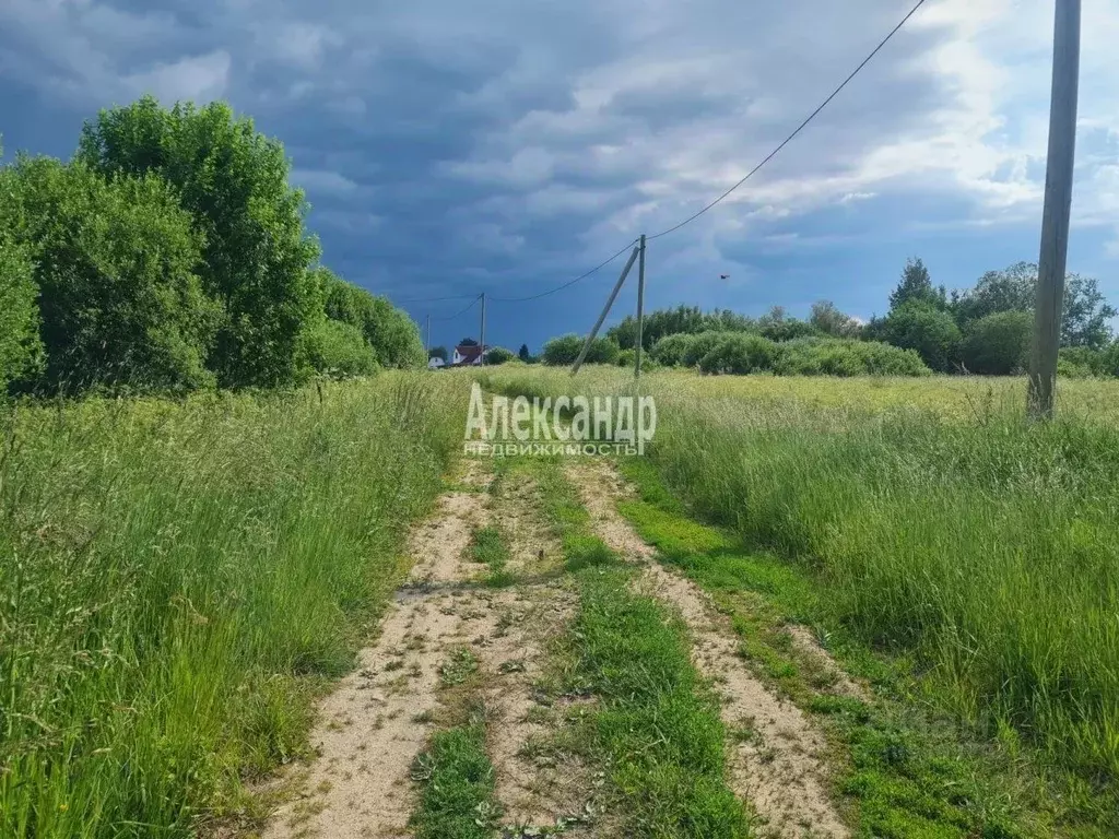 Участок в Ленинградская область, Волховский район, Кисельнинское ... - Фото 1