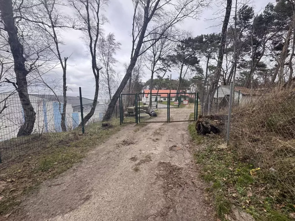 Участок в Калининградская область, Светлогорск Балтийская ул., 25А ... - Фото 1