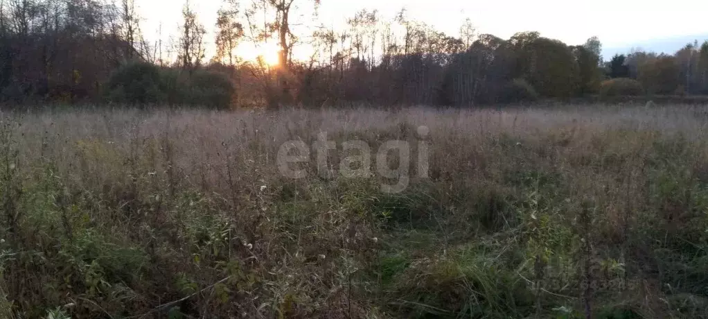 Участок в Псковская область, Порховский муниципальный округ, д. ... - Фото 1