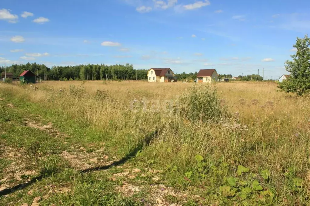 Участок в Новгородская область, Шимский район, Подгощское с/пос, с. ... - Фото 1