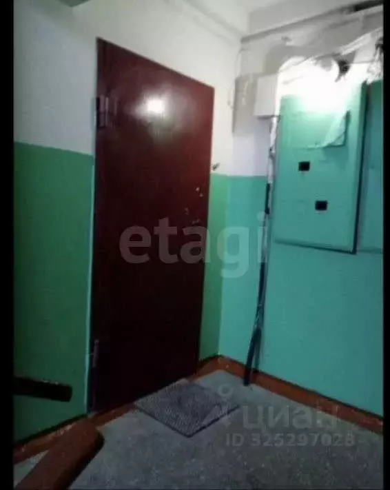 Комната Курганская область, Курган Чернореченская ул., 105 (17.0 м) - Фото 1