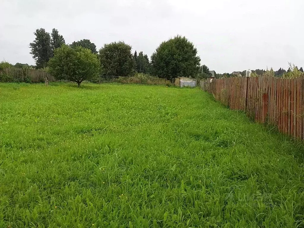 Участок в Калужская область, Боровский муниципальный округ, д. Тюнино ... - Фото 2