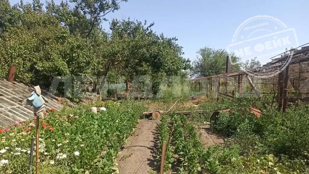 Участок в Ростовская область, Новочеркасск ул. Гагарина (14.0 сот.) - Фото 0