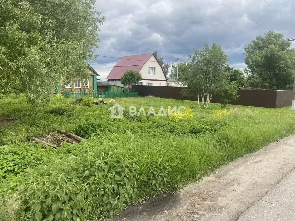 Участок в Пензенская область, с. Бессоновка ул. Зинукова, 34 (22.0 ... - Фото 1