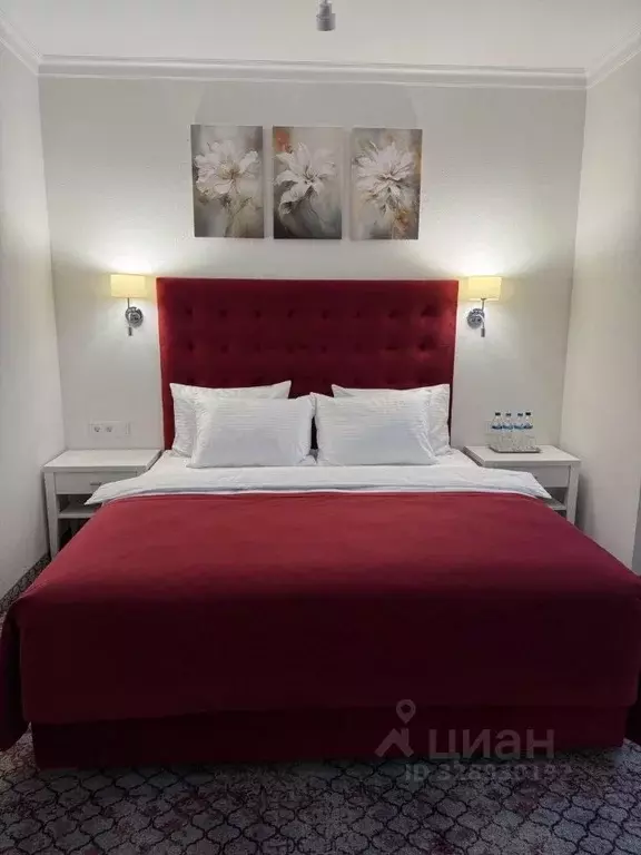 Комната Калининградская область, Калининград просп. Мира, 19 (25.0 м) - Фото 1