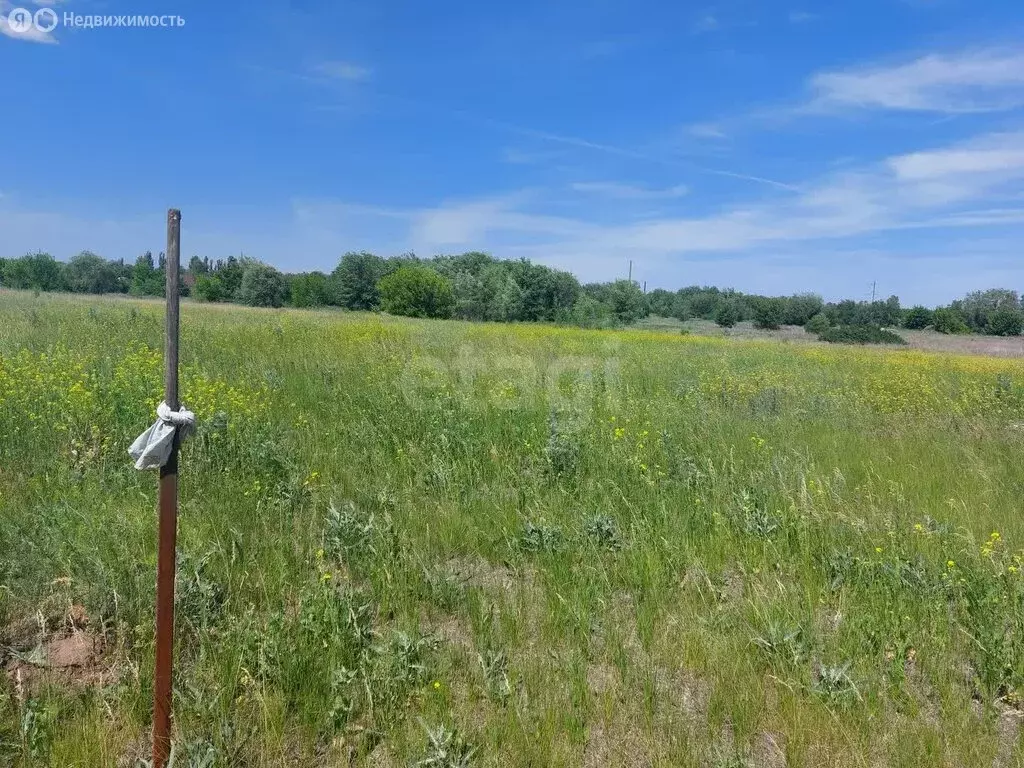 Участок в Приволжское, Набережная улица (3.99 м) - Фото 1