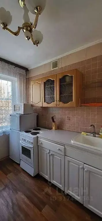 1-к кв. Новосибирская область, Новосибирск Линейная ул., 35 (35.0 м) - Фото 0