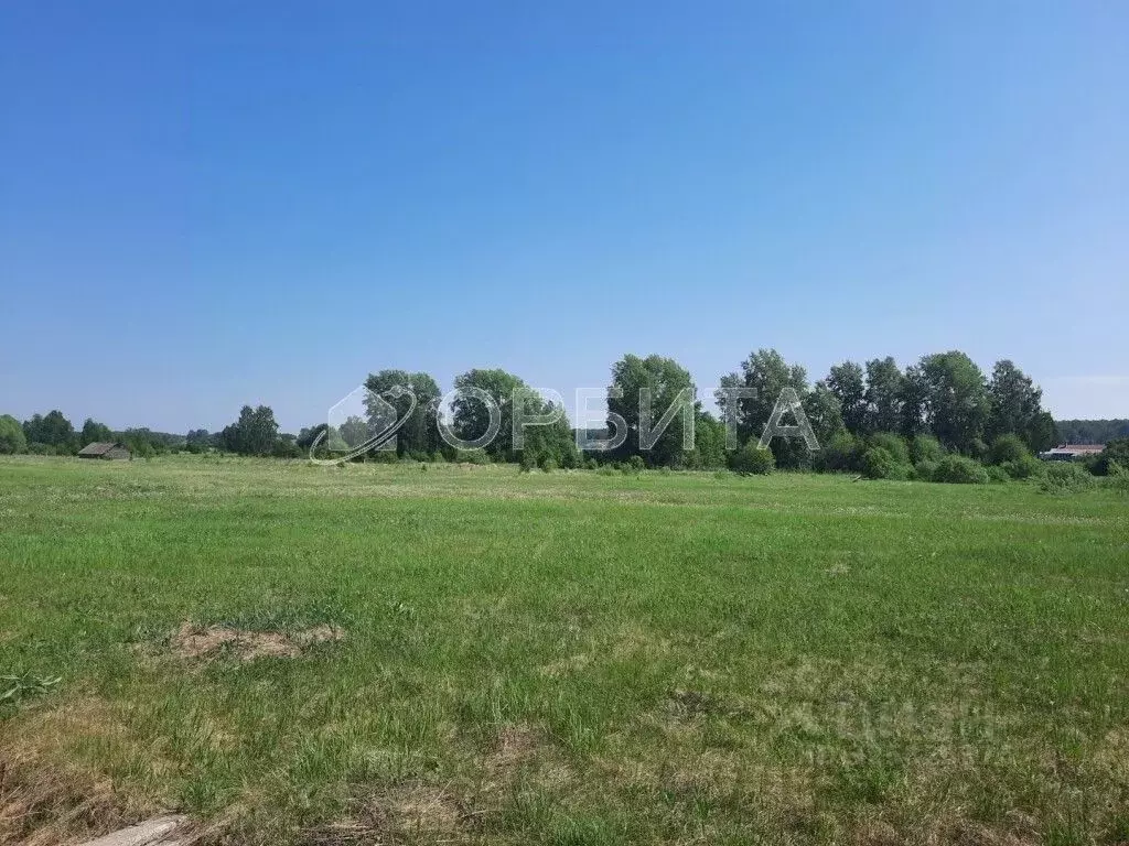 Участок в Тюменская область, Нижнетавдинский муниципальный округ, с. ... - Фото 2